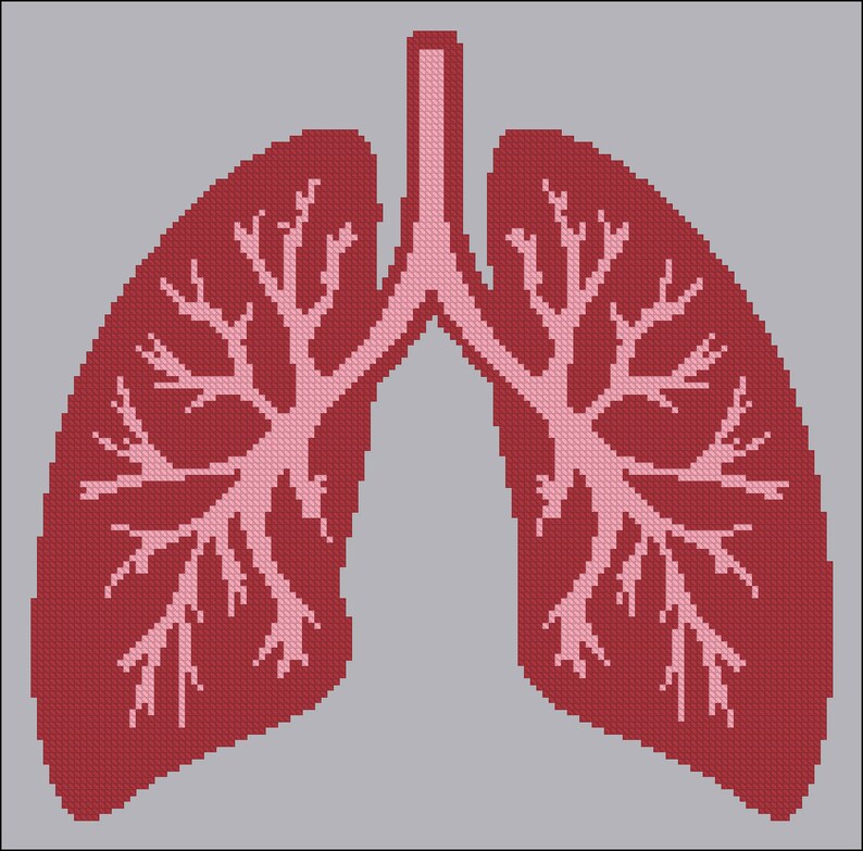 Lungs Cross Stitch Pattern Embroidery Pattern PDF Anatomy Etsy
