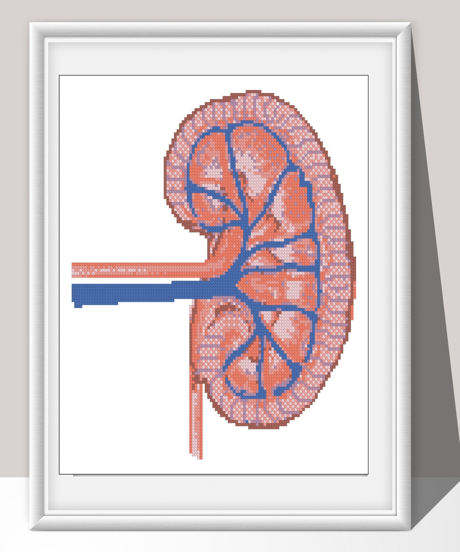 Kidney Cross Stitch Pattern Organ Anatomy Cross Stitch Etsy