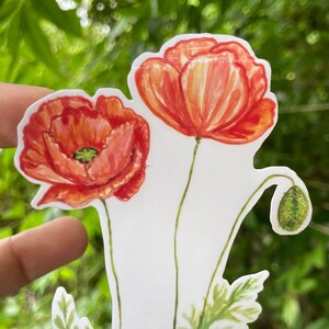 Poppy sticker, water resistant, decal, August birth flower, laptop, scrapbook, tumbler sticker, flower sticker