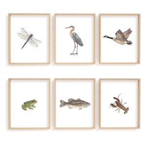 Lake house wall decor, lake life print, wilderness print set, nursery wall art, heron, Canada goose, dragonfly, frog, bass, fish, crayfish
