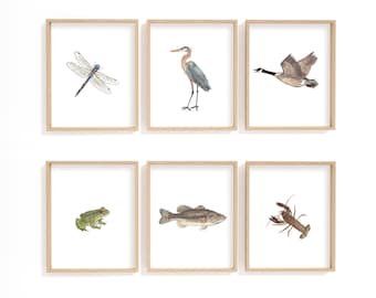 Lake house wall decor, lake life print, wilderness print set, nursery wall art, heron, Canada goose, dragonfly, frog, bass, fish, crayfish