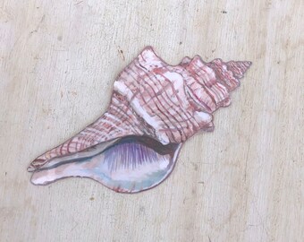 Conch shell sticker, seashell, water resistant, ocean decal, beach gift, laptop, scrapbook, tumbler decal