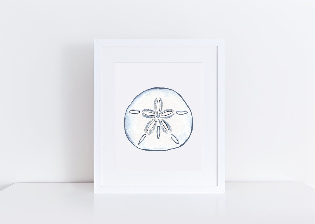 Stupell Industries Leinwandbild „Beachy Blue Sand Dollar“ – 43x43 Cm, Fertig Zum Aufhängen, Made In USA
