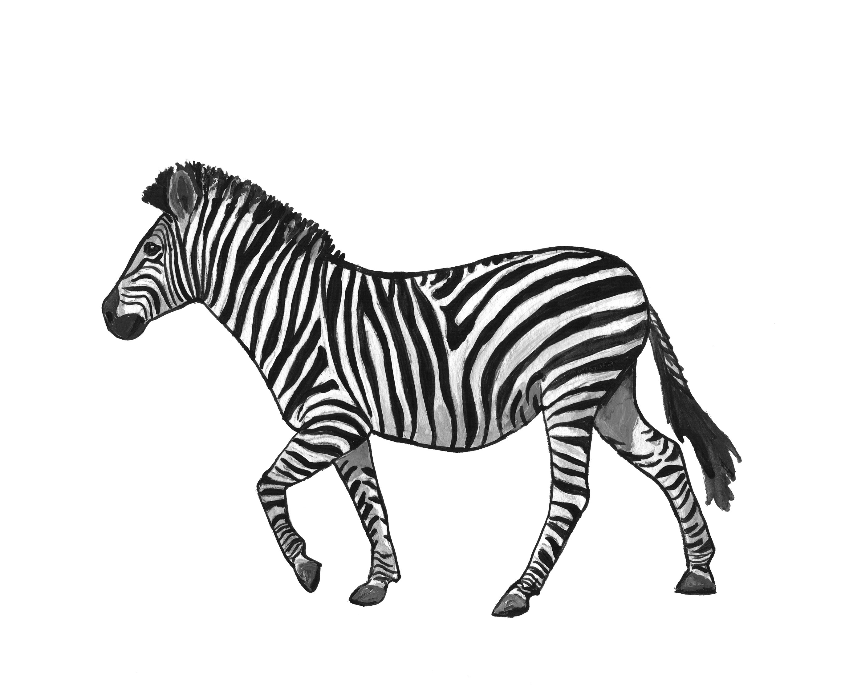 Zebra Print Clipart Black And White