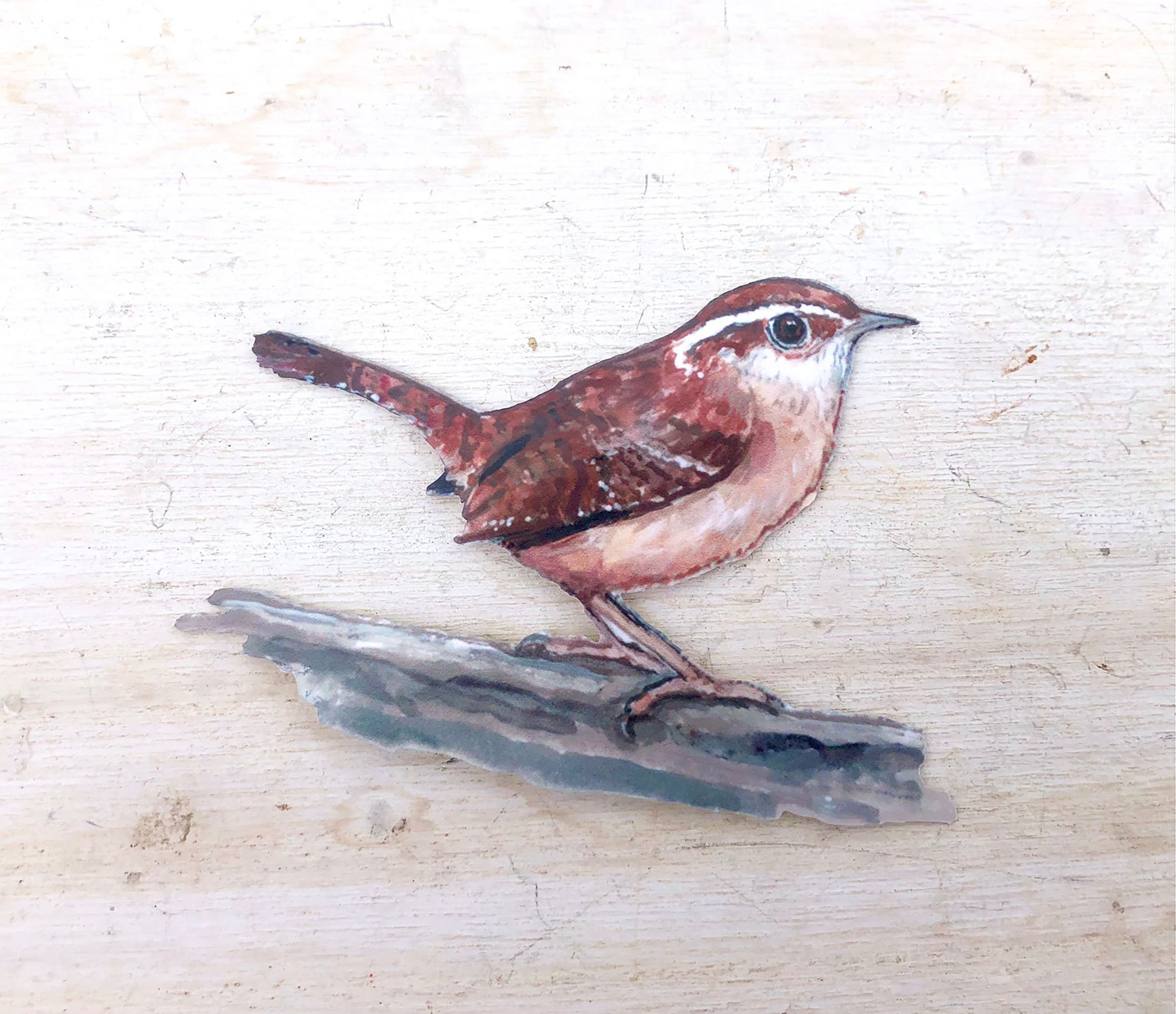 Wren Sticker Wren Sticker, Water Resistant, Bird Decal, Realistic Wildlife, Nature ...