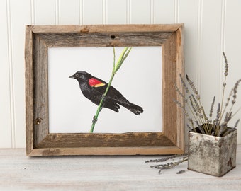 Red wing blackbird print, red wing blackbird, blackbird print, blackbird painting, bird prints, bird painting, bird decor, bird wall art