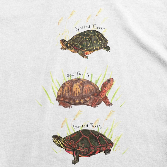 Turtle Shirt, Wildlife Shirt Kids, Box Turtle Shirt, Turtle Tshirt, Turtle  T Shirt, Boys Turtle Shirt, Nature Shirt, Turtle Shirt for Boy - Etsy Canada