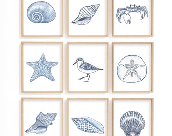 Beach print set, set of 9, blue beach prints wall art, beach painting, sandpiper, sand dollar, starfish, junonia, sea shell prints, seashore