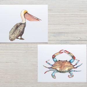 Pelican, notecard di granchio blu, cartoline da spiaggia, cancelleria pelican, cancelleria di granchio blu, regalo sulla spiaggia, carte per la fauna selvatica sulla spiaggia, carte vita oceaniche