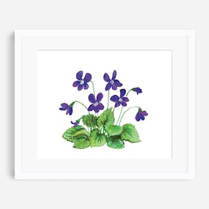 Violet print, violet flower, February birth flower, birth flower print, wildflower wall art, purple violet, flower nursery art, nature print