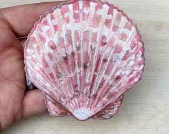 Pegatina de concha de vieira rosa, resistente al agua, calcomanía oceánica, regalo para amantes de la playa, portátil, álbum de recortes, pegatina para vaso