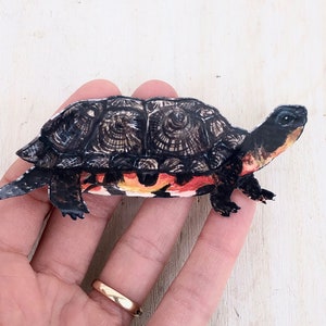 Turtle sticker, wood turtle, water resistant, vinyl sticker, realistic wildlife, nature gift, laptop, scrapbook, tumbler sticker