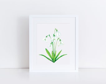 Snödroppetryck, akvarell snödroppe, snödroppemålning, januarifödelseblomma, födelseblomskonst, födelseblomstryck, vildblomma, botanisk