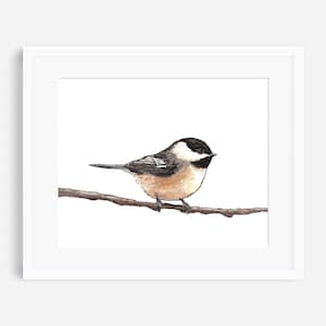 Chickadee print, chickadee painting, chickadee art, black capped chickadee, bird prints, bird nursery art, woodland nursery art, bird decor