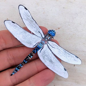 Dragonfly sticker, water resistant, decal, realistic wildlife, laptop, scrapbook, tumbler sticker