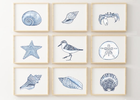 Perfeso.L Decorazione Parete Nautica Stella Marina 71x40 Cm - Legno E Conchiglie In Stile Costiero Blu E Bianco