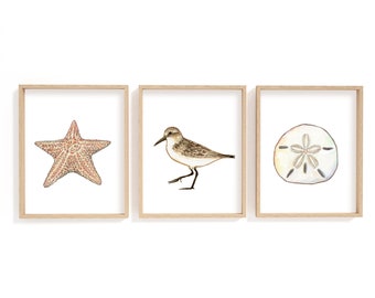 Beach print set of 3, sandpiper print, starfish print, sand dollar print, beach wall art set, beach house decor, beach nursery wall art