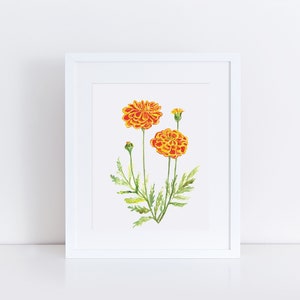 Marigold print, October birth flower print, botanical print, flower wall decor, orange floral wall art, nursery art, October birthday gift image 1