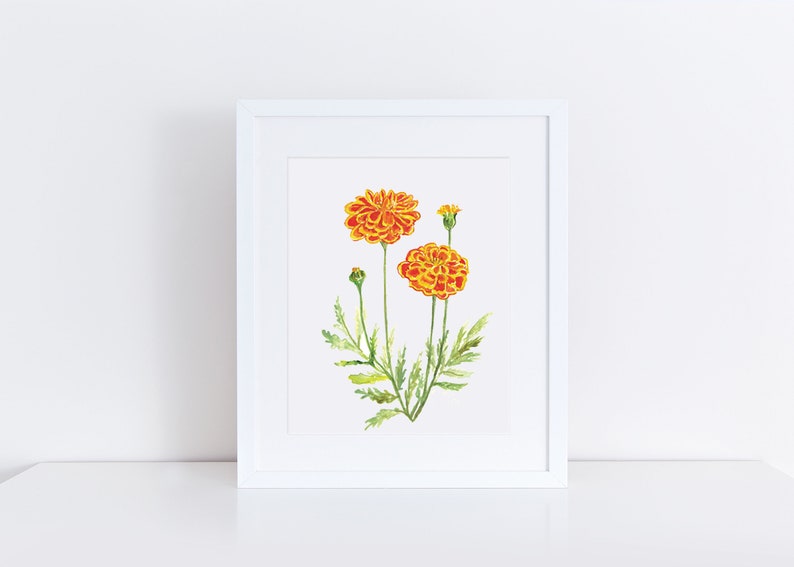 Marigold print, October birth flower print, botanical print, flower wall decor, orange floral wall art, nursery art, October birthday gift image 1