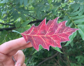Oak leaf sticker, red oak, water resistant, nature decal, laptop, scrapbook, tumbler sticker, autumn sticker, falling leaves