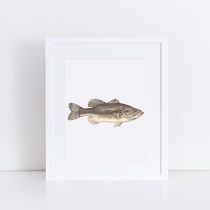 Bass print, bas schilderij, vis kunst aan de muur, meer leven wand decor, bas vissen, visser cadeau, lake house decor, wildlife kwekerij kunst