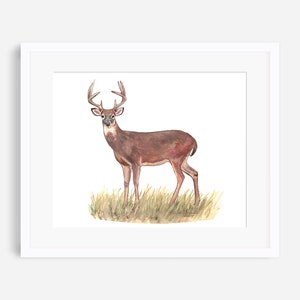 Deer print, woodland animal nursery decor, deer watercolor painting, antlers, baby boy room wall art, woodland print, wilderness, nature