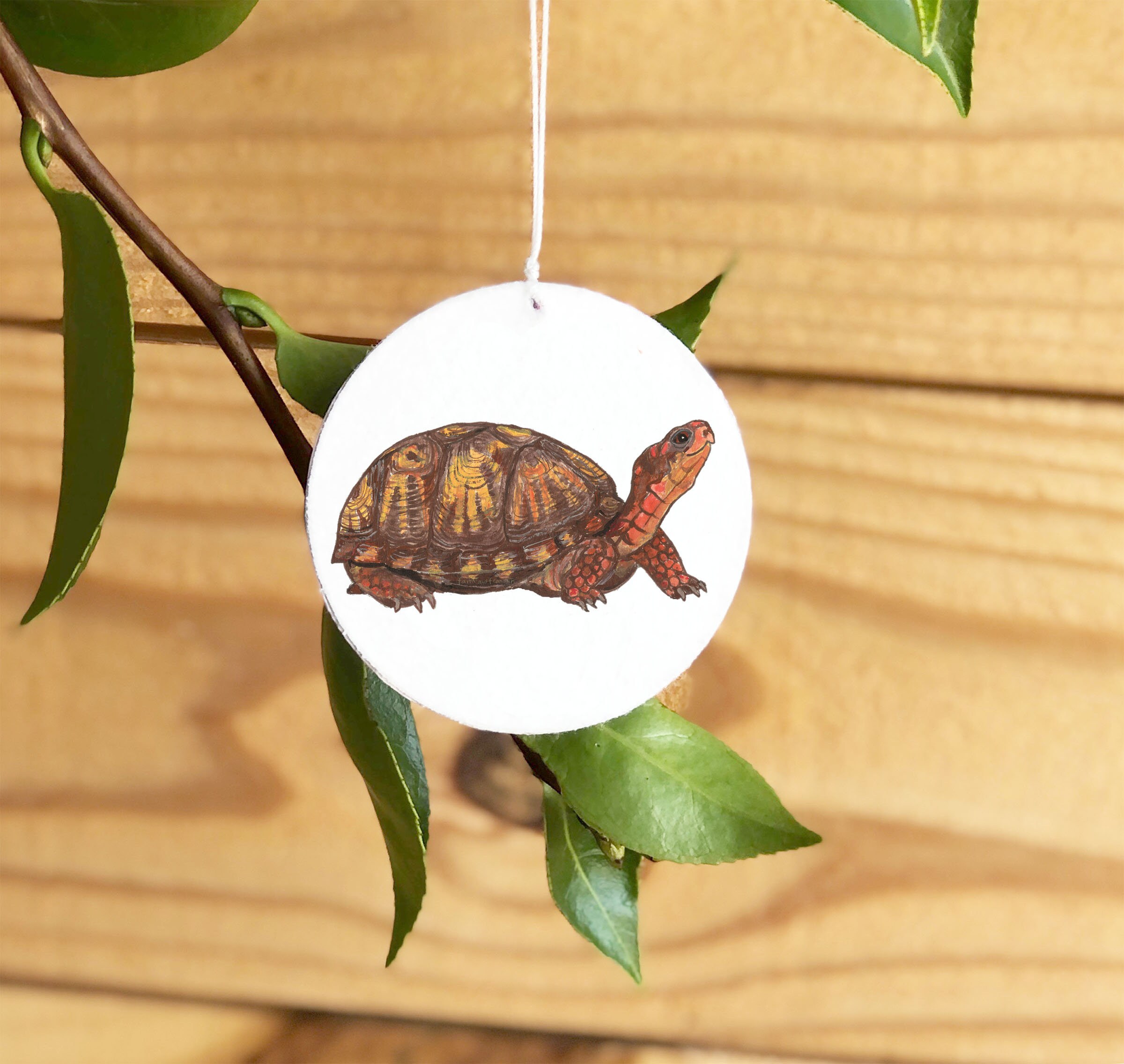 Box Turtle Ornament Personalized Box Turtle Ornament Etsy