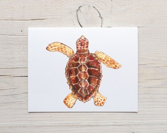 Cartoline di tartaruga marina caretta caretta, tartaruga marina, biglietti per la fauna oceanica, cancelleria delle tartarughe marine, set di 6, 8, 12 carte piegate con buste