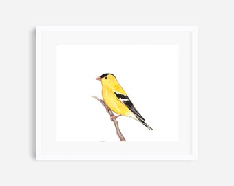 Goldfinch print, goldfinch painting, goldfinch art, yellow finch, bird prints, bird nursery art, woodland nursery art, bird decor