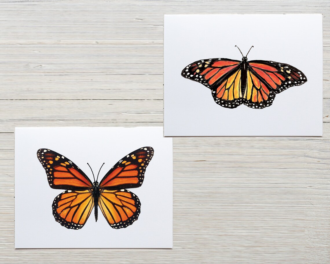 Monarch Butterfly Notecards, Monarch Stationery, Set of 8 Cards With ...