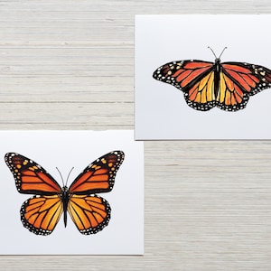 Cartões de nota de borboleta monarca, papelaria monarca, conjunto de 8 cartões com envelopes, presente de borboleta, papelaria natural, cartões de nota monarca