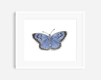 May include: A watercolor painting of a blue butterfly with black markings on its wings. The butterfly is centered on a white background.