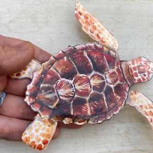 Könnte beinhalten: Ein Papierschnitt einer Meeresschildkröte mit brauner und orangefarbener Schale. Die Schildkröte liegt mit ausgestreckten Flossen auf dem Rücken.