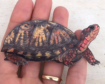 Turtle sticker, water resistant, box turtle, animal decal, realistic wildlife, nature gift, laptop, scrapbook, tumbler sticker
