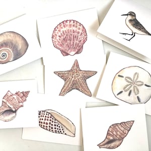 May include: Set of eight watercolour illustrations of seashells, a starfish, a sand dollar, and a shorebird. The illustrations are painted on white card stock.
