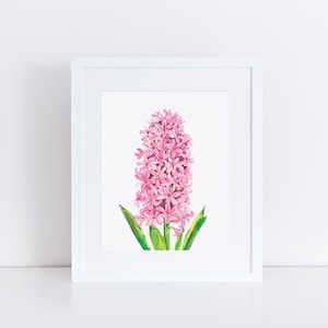 Hyacinth print, pink flower print, botanical wall art, garden nursery, Easter decor, floral art