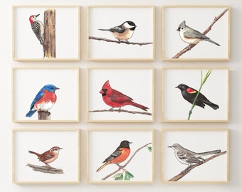 Bird print set, bird prints, bird prints wall art, set of 9, bird paintings, North American birds, bird decor, bird nursery art, bird art
