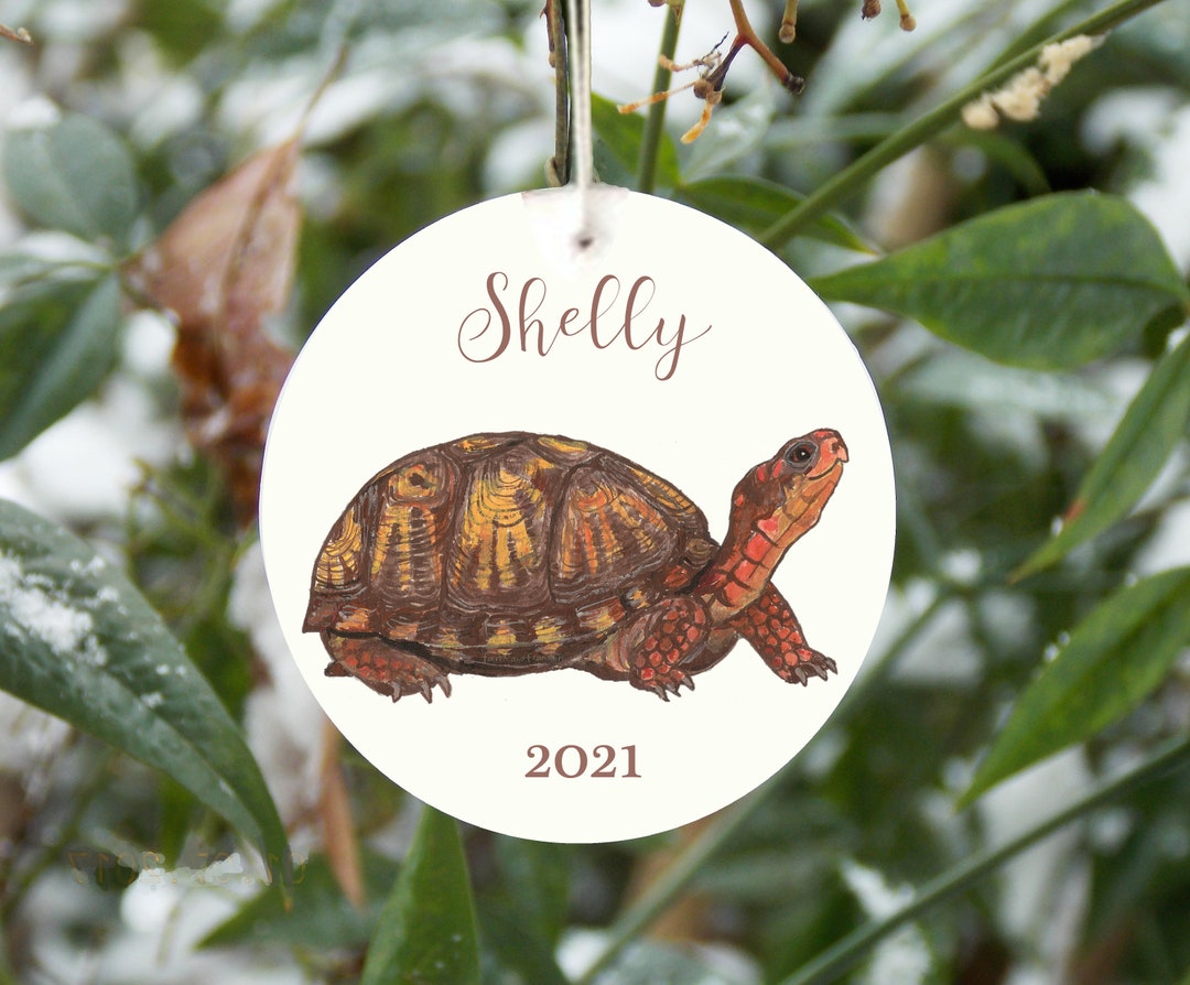 Box Turtle Shell Decorations Box Turtle Ornament, Personalized Box Turtle Ornament, Realistic Turtle ...