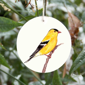 Goldfinch ornament, yellow finch, realistic, personalized, songbird, bird ornament, wild canary, nature, bird watcher gift