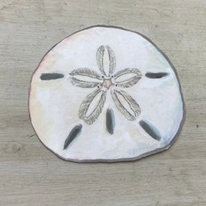 May include: A white sand dollar with a five-pointed star design in the center. The star is made of gray and brown lines. The sand dollar is painted with a light blue and pink watercolor wash.