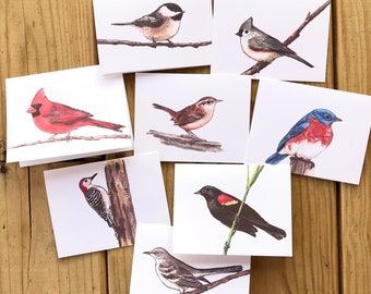 Bird notecards, bird stationery, set of 8 cards, cardinal, chickadee, woodpecker, blackbird, wren, bluebird, mockingbird, titmouse, nature