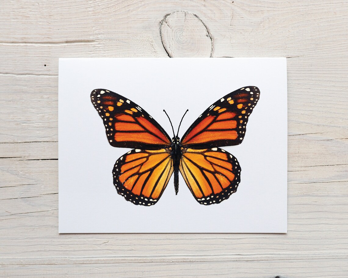 Monarch Butterfly Notecards, Monarch Stationery, Set of 8 Cards With ...