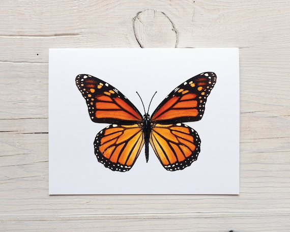 Folded Note Card Stationary For Women Monarch Butterfly Note Card ...