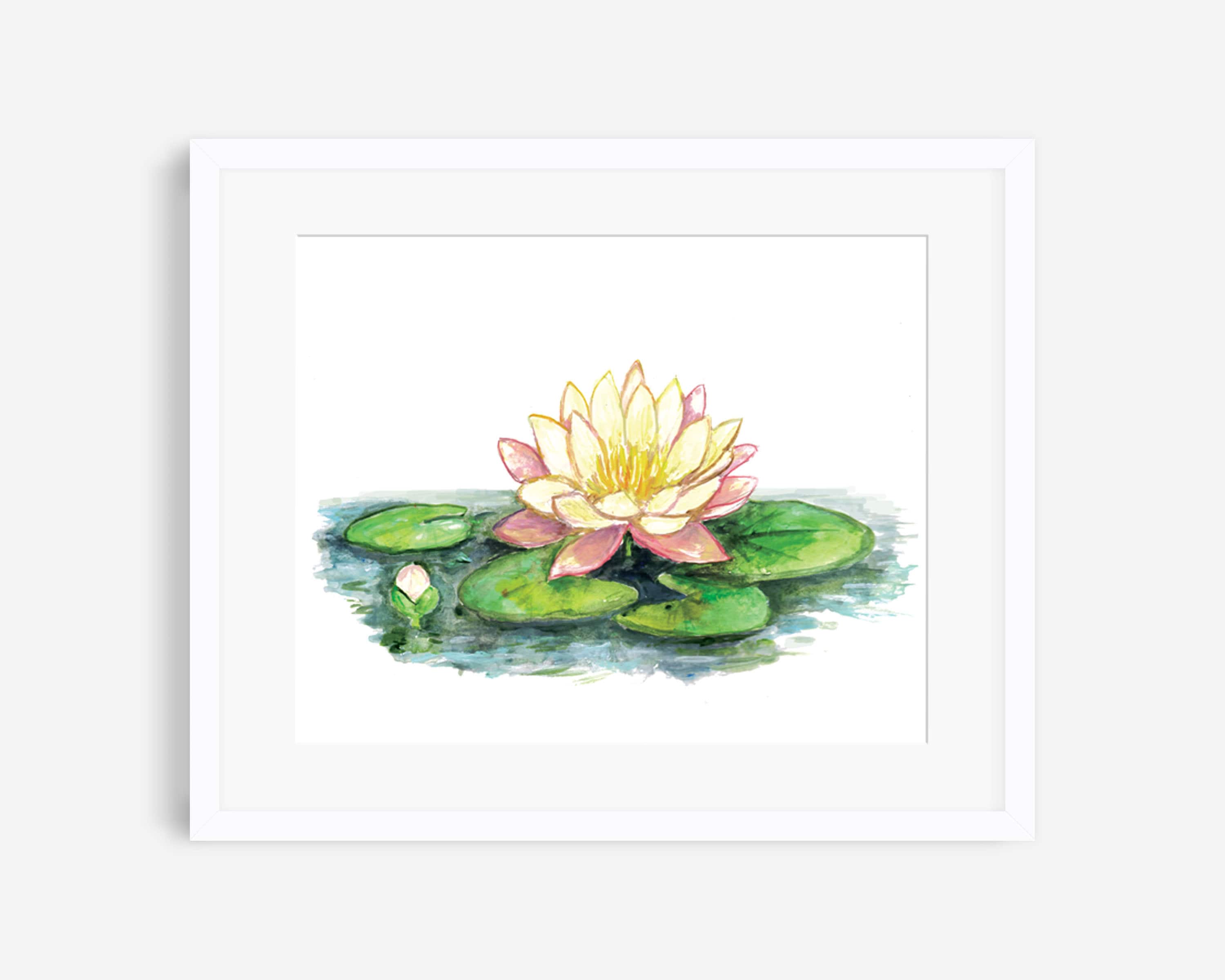 Lily Pad Drawing Etsy