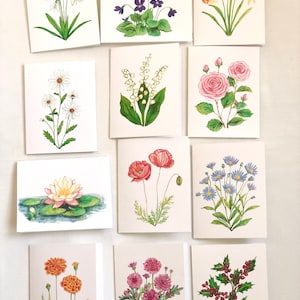 Cartes pour correspondance avec fleurs de naissance, lot de 12, cartes de fleurs pour le mois de célébration, anniversaire, anniversaire, fleurs pour le mois de naissance, papeterie de fleurs sauvages, cadeau