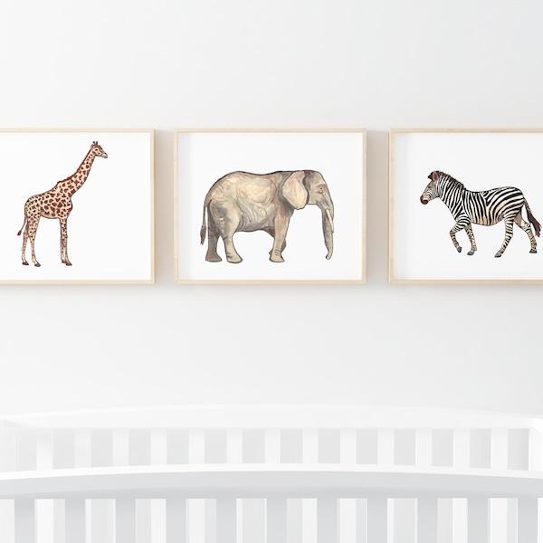 Zebra Print Nursery Etsy