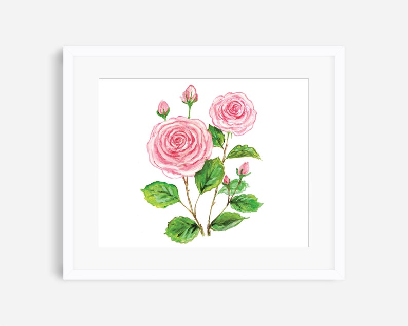 Op de afbeelding: Een aquarel schilderij van roze rozen met groene bladeren en stengels op een witte achtergrond.