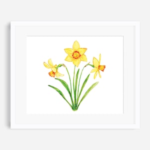 Daffodil print, birth flower print, March birth flower, botanical print, watercolor flower, March baby gift, Mother&#39;s Day gift, wall art