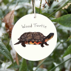 Wood turtle ornament, realistic wildlife turtle, can be personalized with name and year, customizable turtle ornament, nature gift
