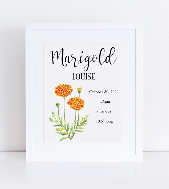 Marigold birth flower name sign, October birth flower print, personalized birth stats sign, for nursery, baby girl, watercolor nursery art
